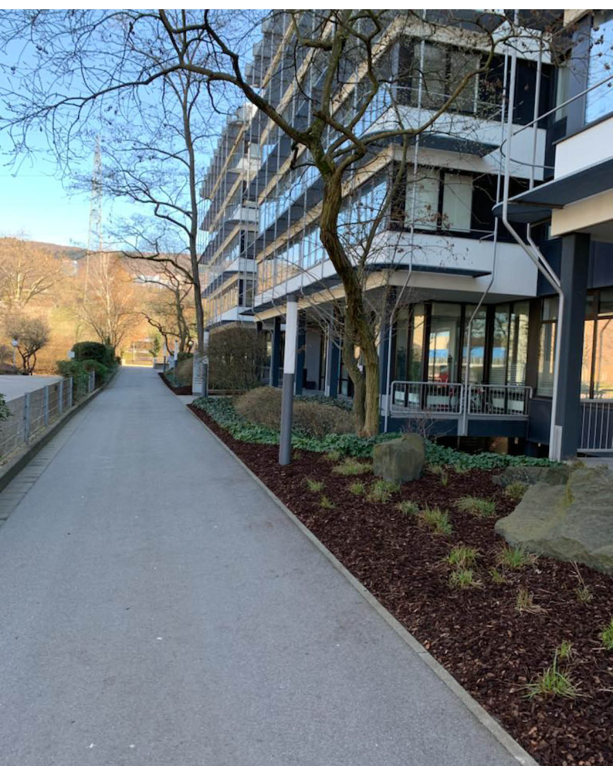 Pflege der Grünanlagen