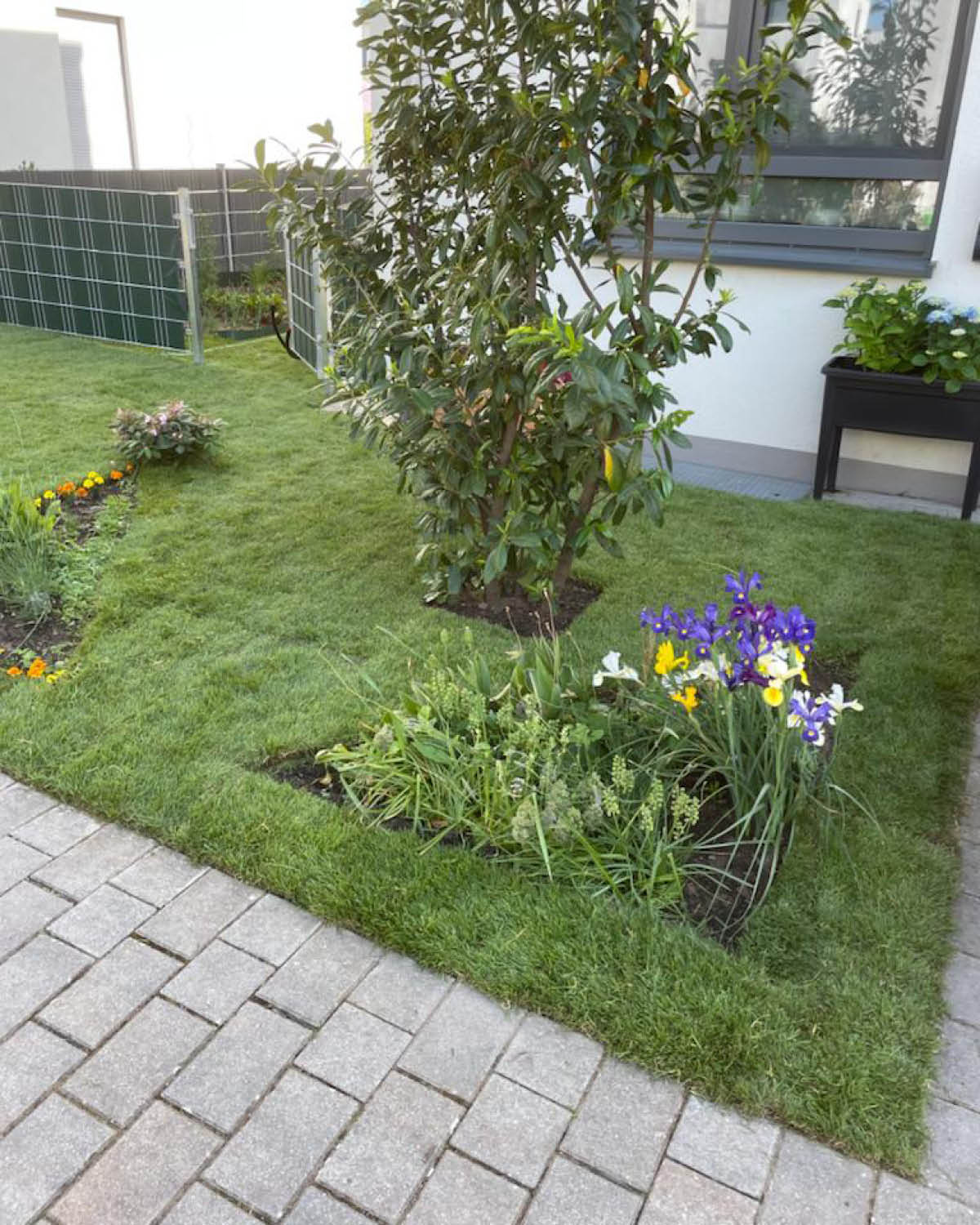 Pflege der Grünanlagen